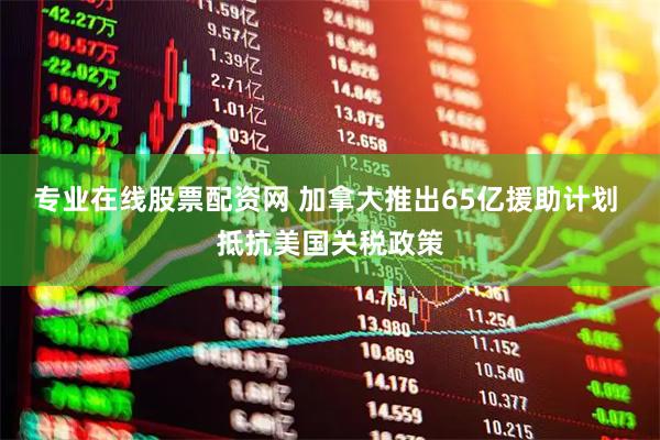 专业在线股票配资网 加拿大推出65亿援助计划 抵抗美国关税政策