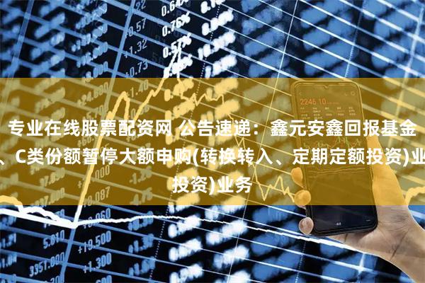 专业在线股票配资网 公告速递：鑫元安鑫回报基金 A、C类份额暂停大额申购(转换转入、定期定额投资)业务